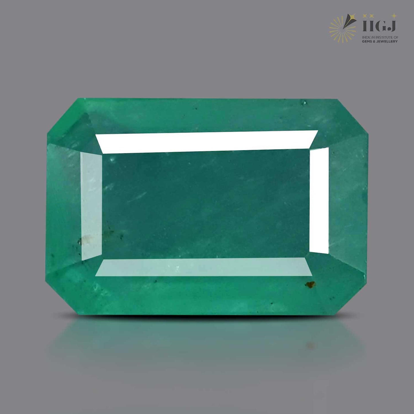 Zambian Emerald (Panna) - 7.26 Carat