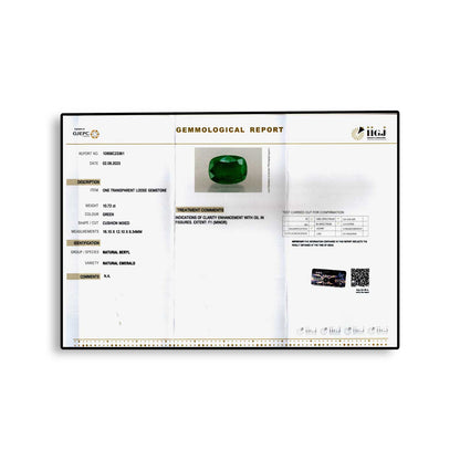 Zambian Emerald (Panna) - 10.72 Carat