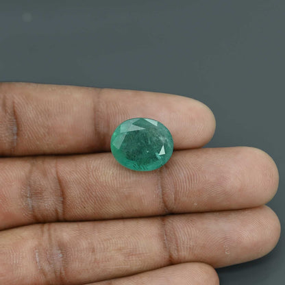 Zambian Emerald (Panna) - 9.82 Carat