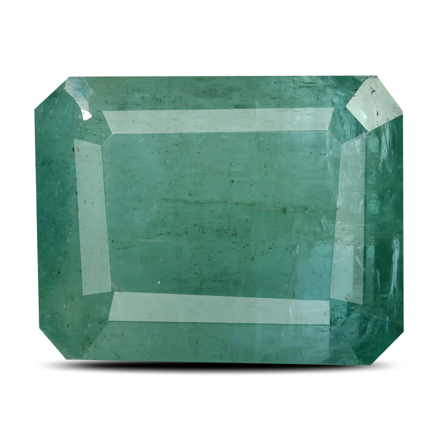 Zambian Emerald (Panna) - 12.49 Carat