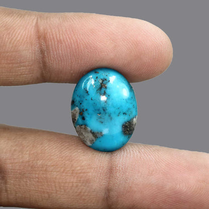 Irani Turquoise (Firoza) 22.95 Carat