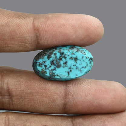 Irani Turquoise (Firoza) 26.73 Carat