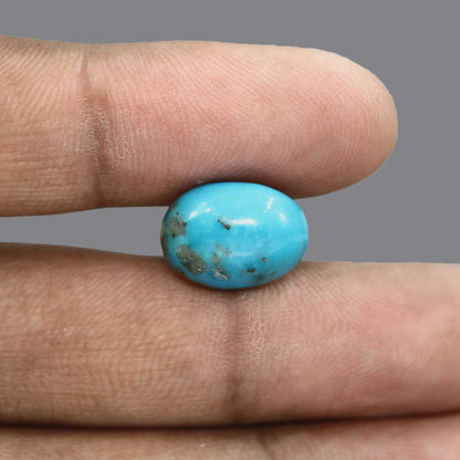 Irani Turquoise (Firoza) 13.61 Carat