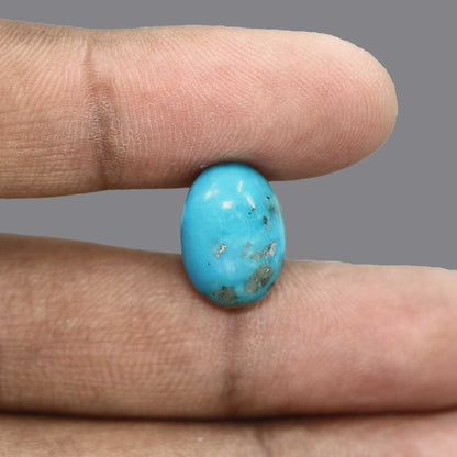 Irani Turquoise (Firoza) 13.61 Carat