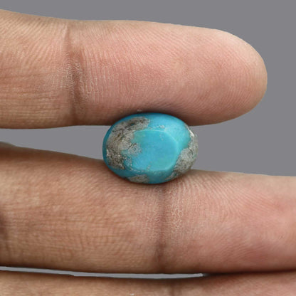 Irani Turquoise (Firoza) 13.61 Carat