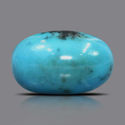 Irani Turquoise (Firoza) 27.51 Carat