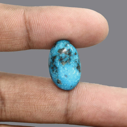 Irani Turquoise (Firoza) 15.67 Carat