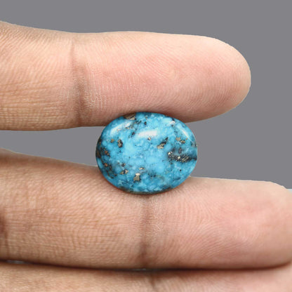 Irani Turquoise (Firoza) 17.44 Carat