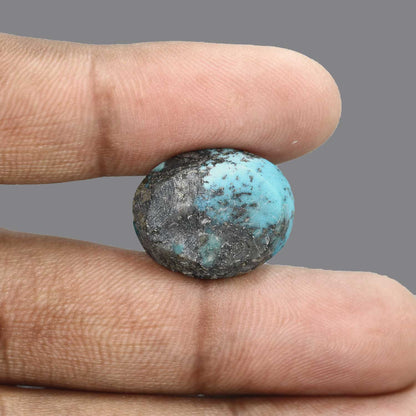 Irani Turquoise (Firoza) 21.1 Carat