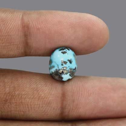 Irani Turquoise (Firoza) 9.63 Carat