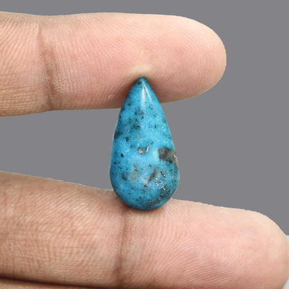 Irani Turquoise (Firoza) 16.75 Carat