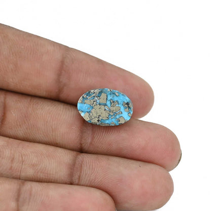 Irani Turquoise (Firoza) 13.81 Carat