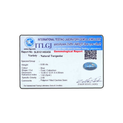 Irani Turquoise (Firoza) 8.69 Carat
