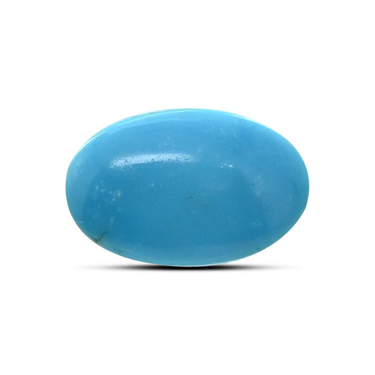 Arizona Turquoise (Firoza) 16.33 Carat