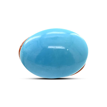Arizona Turquoise (Firoza) 12.4 Carat