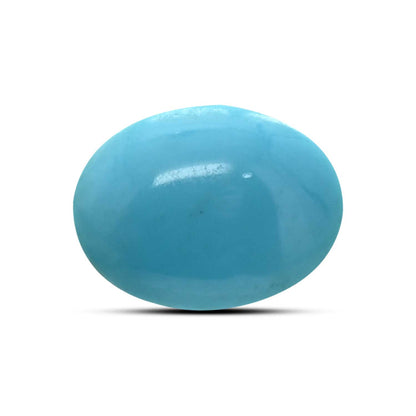 Arizona Turquoise (Firoza) 10.32 Carat