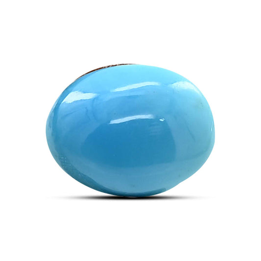 Arizona Turquoise (Firoza) 8.13 Carat