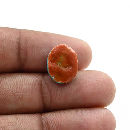 Arizona Turquoise (Firoza) 8.43 Carat
