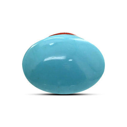 Arizona Turquoise (Firoza) 8.06 Carat