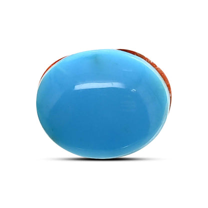 Arizona Turquoise (Firoza) 7.02 Carat