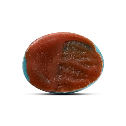 Arizona Turquoise (Firoza) 5.69 Carat