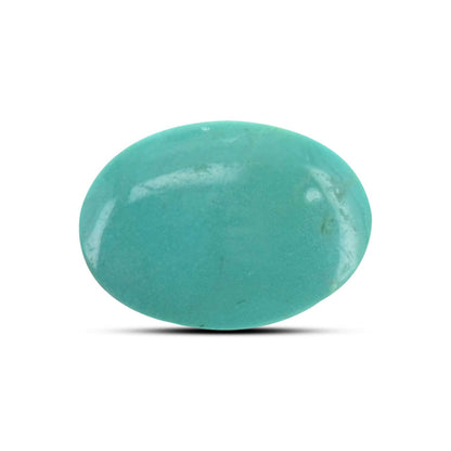Arizona Turquoise (Firoza) 13.78 Carat
