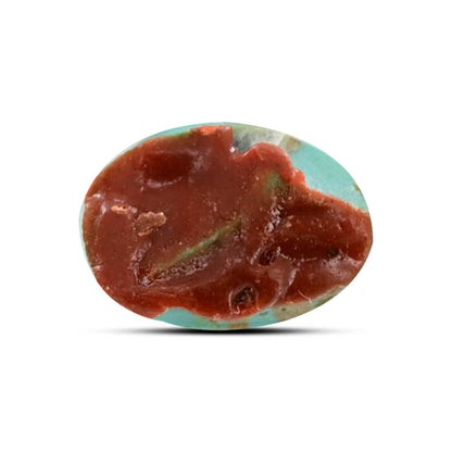 Arizona Turquoise (Firoza) 13.78 Carat