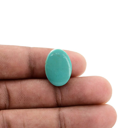 Arizona Turquoise (Firoza) 13.78 Carat
