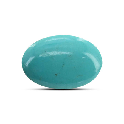 Arizona Turquoise (Firoza) 10.44 Carat