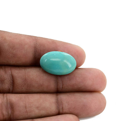Arizona Turquoise (Firoza) 11.92 Carat