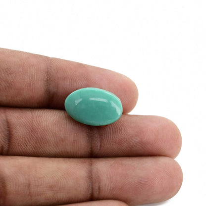 Arizona Turquoise (Firoza) 13.48 Carat