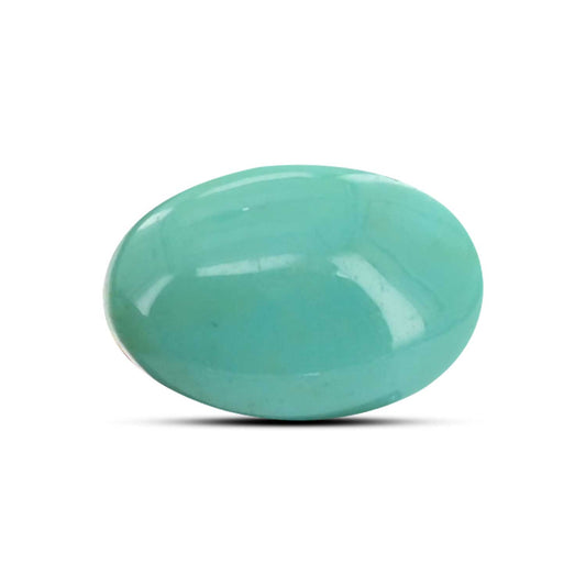 Arizona Turquoise (Firoza) 9.59 Carat