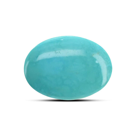 Arizona Turquoise (Firoza) 9.69 Carat