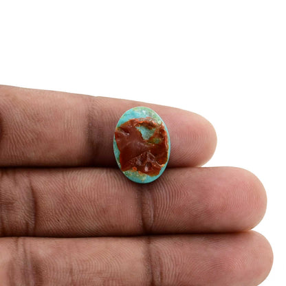 Arizona Turquoise (Firoza) 9.69 Carat
