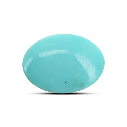 Arizona Turquoise (Firoza) 12.46 Carat