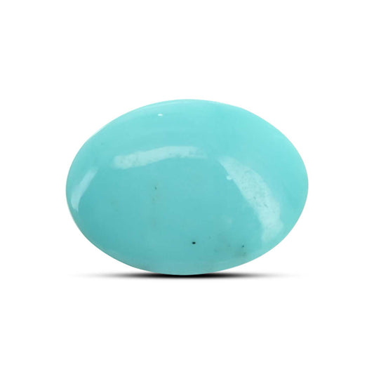 Arizona Turquoise (Firoza) 12.46 Carat