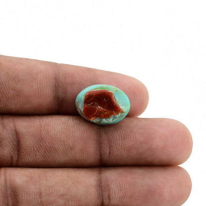 Arizona Turquoise (Firoza) 12.46 Carat