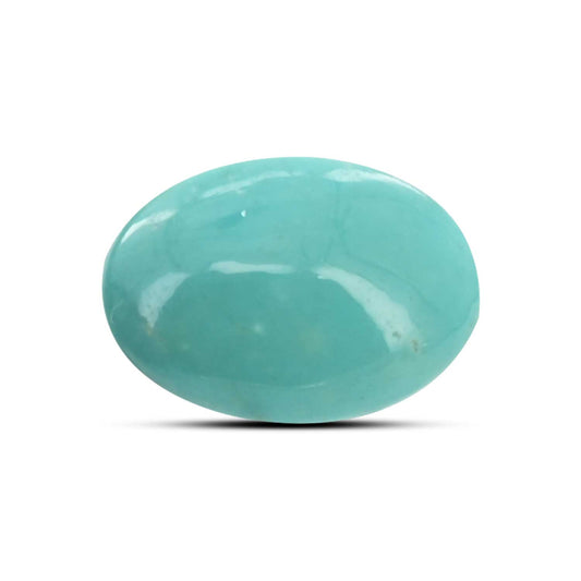 Arizona Turquoise (Firoza) 11.49 Carat
