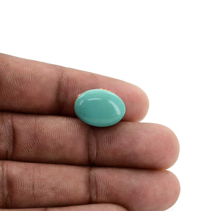 Arizona Turquoise (Firoza) 9.86 Carat
