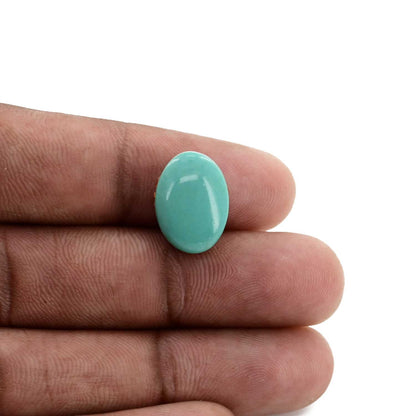 Arizona Turquoise (Firoza) 9.86 Carat