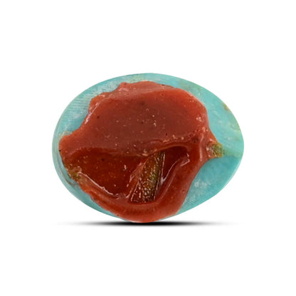 Arizona Turquoise (Firoza) 11.21 Carat