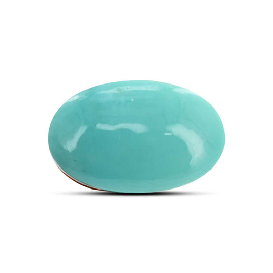 Arizona Turquoise (Firoza) 16.77 Carat