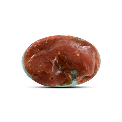 Arizona Turquoise (Firoza) 16.77 Carat