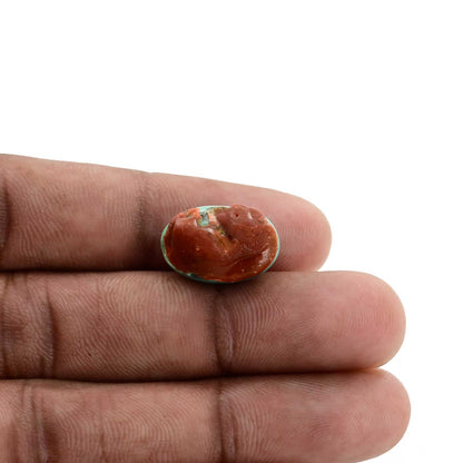 Arizona Turquoise (Firoza) 16.77 Carat