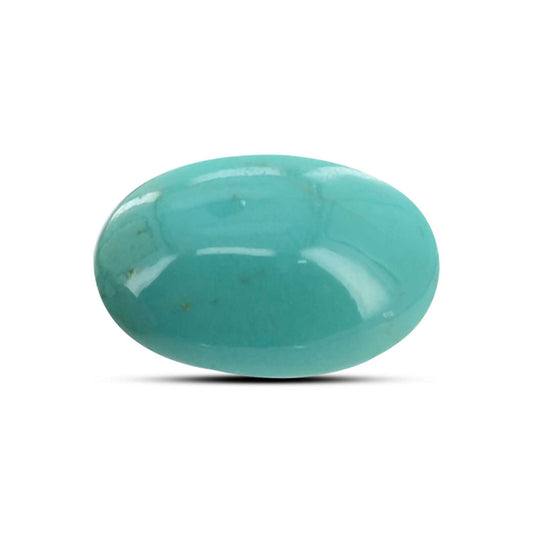 Arizona Turquoise (Firoza) 9.86 Carat