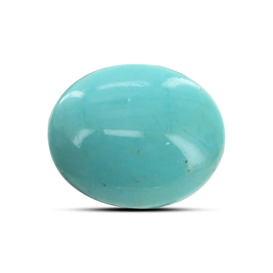 Arizona Turquoise (Firoza) 10.62 Carat
