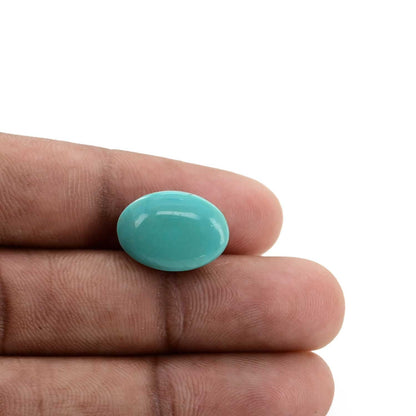 Arizona Turquoise (Firoza) 11.77 Carat