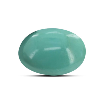 Arizona Turquoise (Firoza) 8.91 Carat