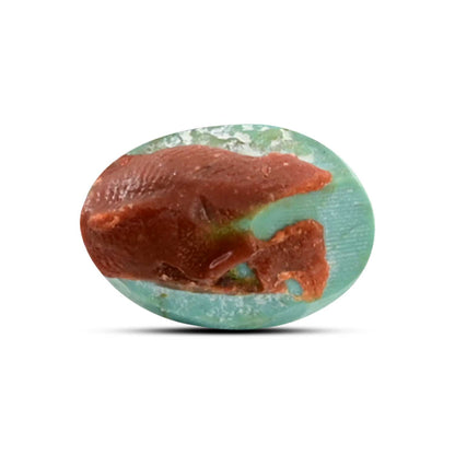 Arizona Turquoise (Firoza) 8.91 Carat