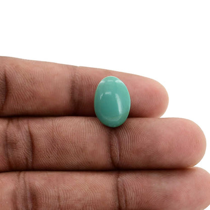 Arizona Turquoise (Firoza) 8.91 Carat